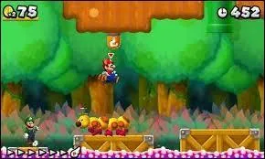 Le 11me monde existe-t-il dans le jeu New Super Mario Bros Wii ?