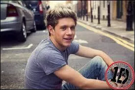 Quelle chanson Niall Horan a-t-il crite ?