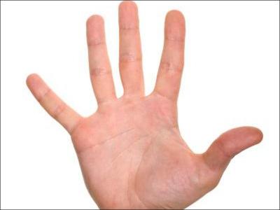 Quel est le nombre de doigts dans une main ?