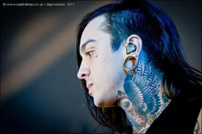 Qui est le guitariste de Pierce The Veil ?