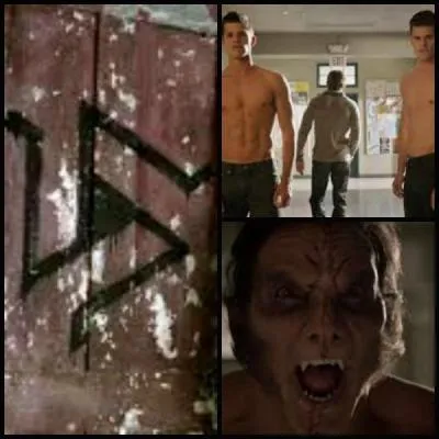 Qui sont-ils ? Qu'ont-ils de particulier ?