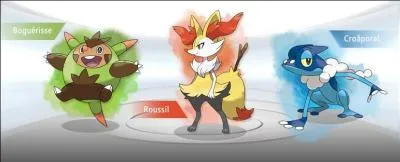 Qui sont ces trois Pokmon ?