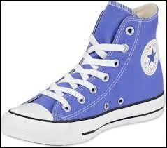 Quelle est cette chaussure ?