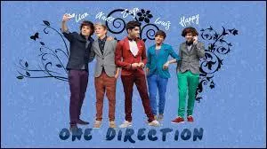 Qui est le plus g des One Direction ?