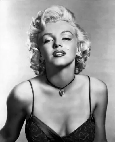 Quel est le nom de l'actrice amricaine, icne de beaut, qui a accd au statut de star hollywoodienne dans les annes 1950 ?