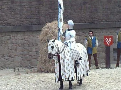 Quel personnage historique n'apparat pas au Puy du Fou ?