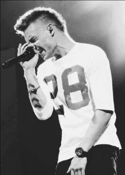 Quelle chanson Liam a-t-il chante  son audition pour X-Factor ?