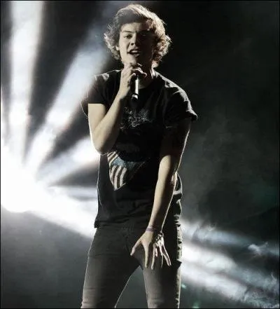 Quelle chanson Harry a-t-il chante pour son audition  X-Factor ?