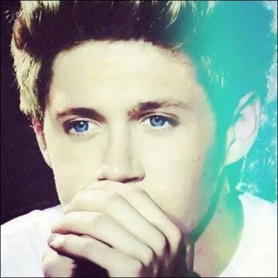 Quelle chanson Niall a-t-il chante  son audition pour X-Factor ?