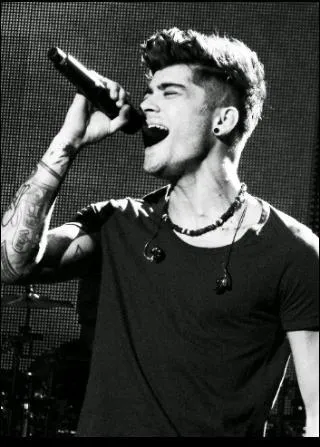Quelle chanson Zayn a-t-il chante pour son audition  X-Factor ?