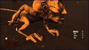 Dans le mode 'Zombie', comment s'appelle le petit monstre qui vient sur nos ttes ?