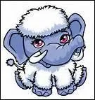 Comment s'appelle l'animal de compagnie d'Abbey ?