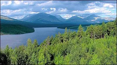 Haruki Murakimi est un crivain connu de de tous les japonais, ainsi qu' l'tranger, son oeuvre phare  t adapte au cinma en 2010. Quel est le titre de cette oeuvre ?