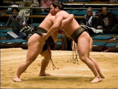 Le Sumo est un sport de lutte japonais, quel doit tre le poids des combattants ?