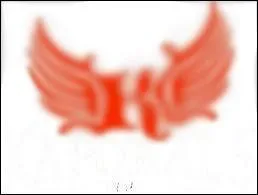 Comment s'appelle cette marque ?