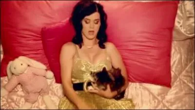 De quel clip provient cette photo ? (dans ce clip il n'y a que des filles)