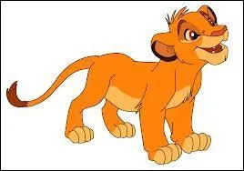 Comment s'appelle ce lion ?