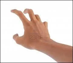 Combien de voyageurs ont perdu leurs bras au royaume des chats ?