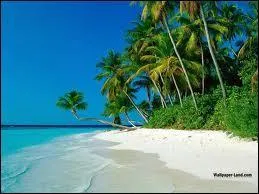 Et sur cette photo, quelle saison remarques-tu ?