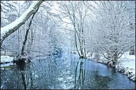 Quelle est cette saison ?