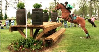 Quel nom porte cette discipline ?