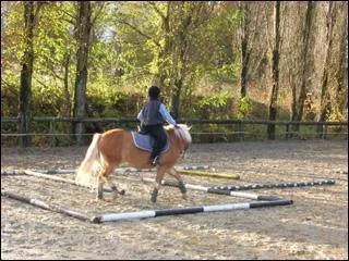 Quelle est cette discipline ?