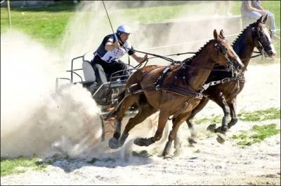 Quel nom porte cette discipline ?