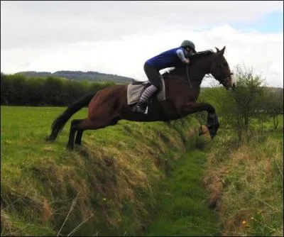 Quelle est cette discipline ?