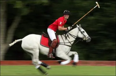 Quel nom porte cette discipline ?