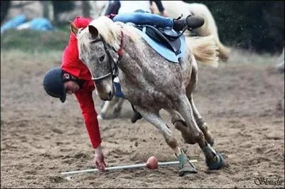 Quelle est cette discipline ?