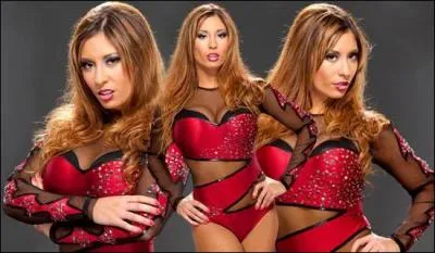 Quelle diva est sur la photo ?