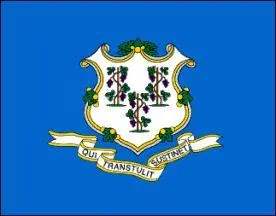  quel tat appartient ce drapeau ?