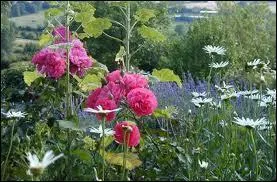 Que signifie l'expression :   Etre une fte pour   ?