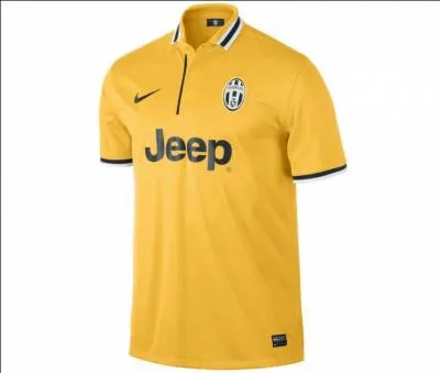 Quel club arbore ce maillot ?