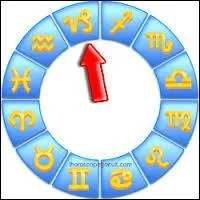 Le 14 janvier est le 24e jour du signe du :