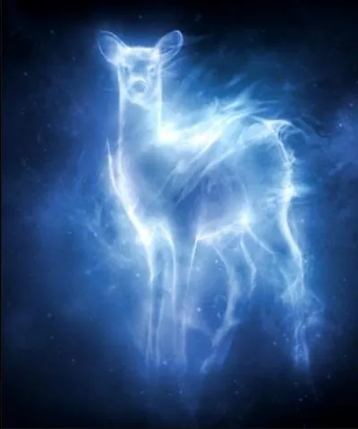 En quoi Peter Petigrow se transforme-t-il ?