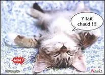 lvation de la temprature ambiante :