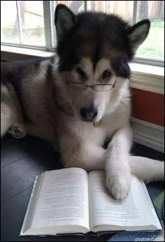 Pierre (pas moi ! ) Desproges, disait plutt  Il ne faut pas dsesprer des imbciles :