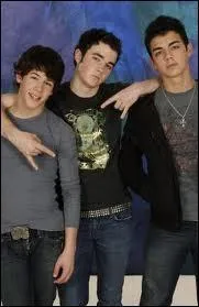 En quelle anne s'est form le groupe ?