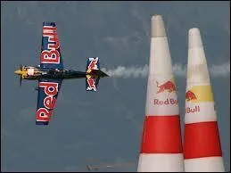 Quel championnat du monde est organis par Red Bull depuis 2005 ?