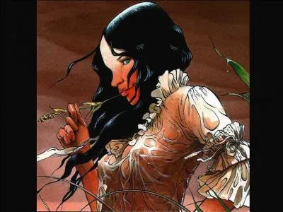 Quelle est cette belle bande dessine dessine par Franois Bourgeon ayant pour cadre la mer ?