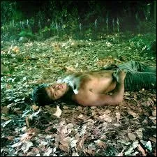 Qui est-ce dans la srie ?