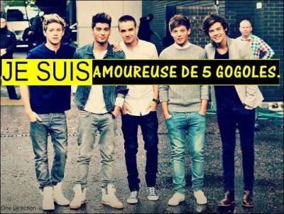 Quand le groupe a-t-il t cr ?