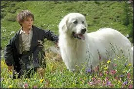 Comment s'appelle le film ?