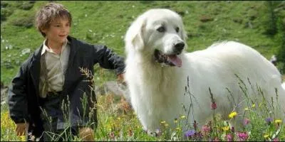 Qui a tir sur Belle ?