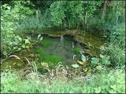 C'est l'autre nom de la Birmanie : le Myan...