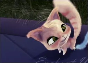 Comment s'appelle le chat de Bloom dans le film ?