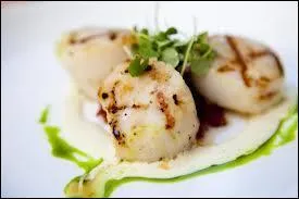  Les mots sont les singes de nos ides  cette phrase devrait tre crite  Les mots sont les signes de nos ides , comment nomme-t-on l'erreur de frappe de la premire phrase ?