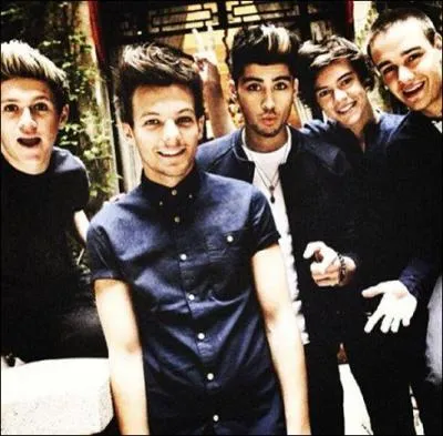 Avant de se retrouver en groupe,  quel autre membre des One Direction a-t-il dit  Je peux prendre une photo avec toi, toi tu seras une star . pendant X Factor UK 2010 ?