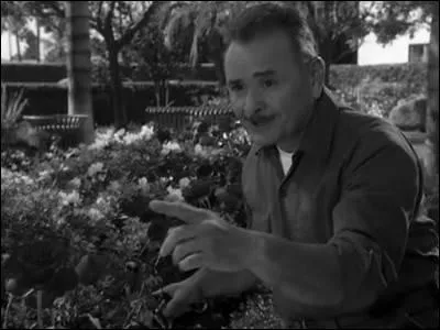 Cette personne apparat dans la saison 8, il aide  rsoudre les problmes de couple de Piper et Lo en changeant leur corps. Si vous avez t attentif, de quelle couleur taient les roses dont il s'occupe ?